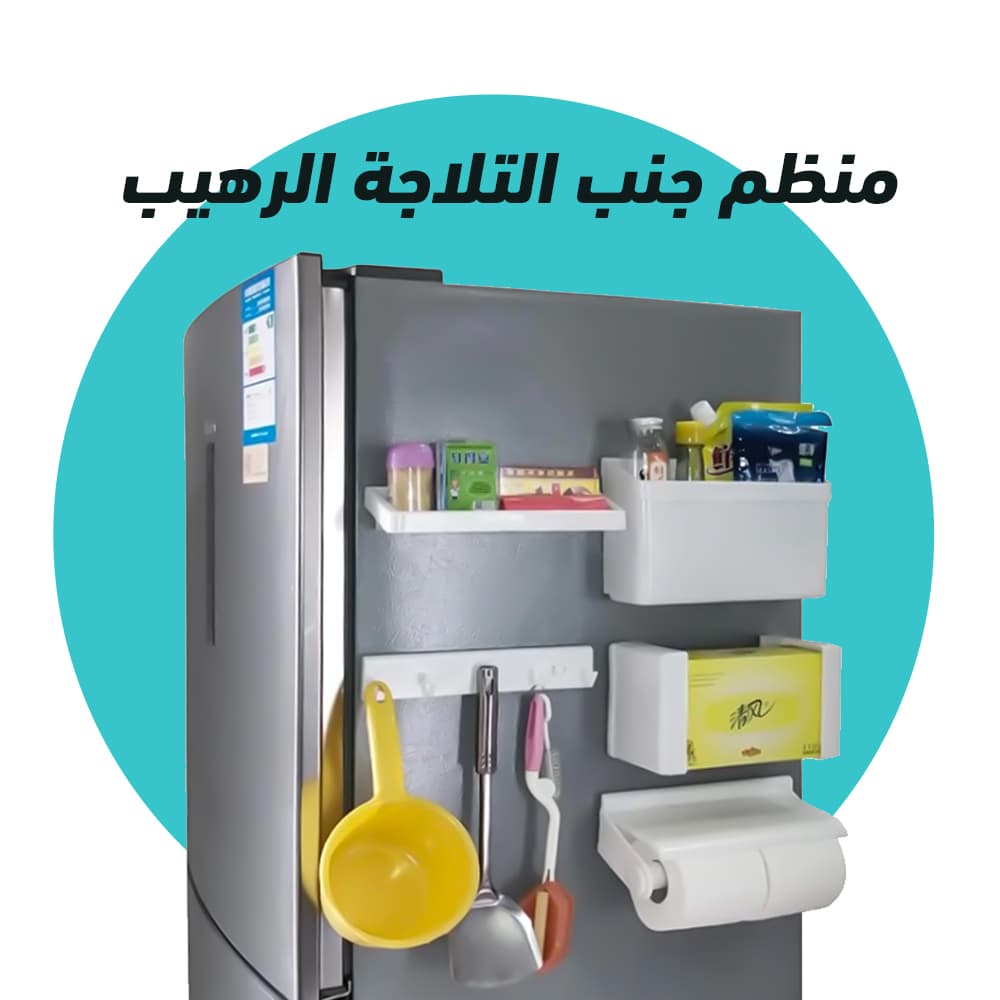 Awesome fridge side organizer