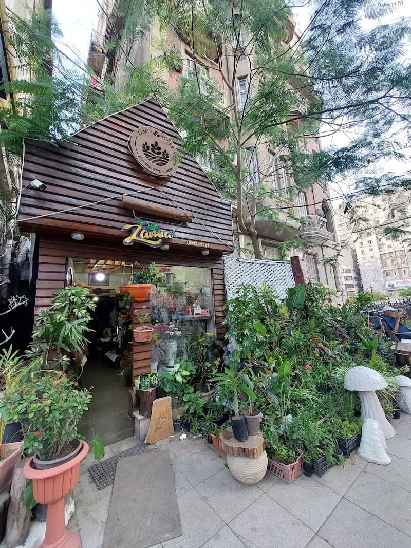 Zamia Hut