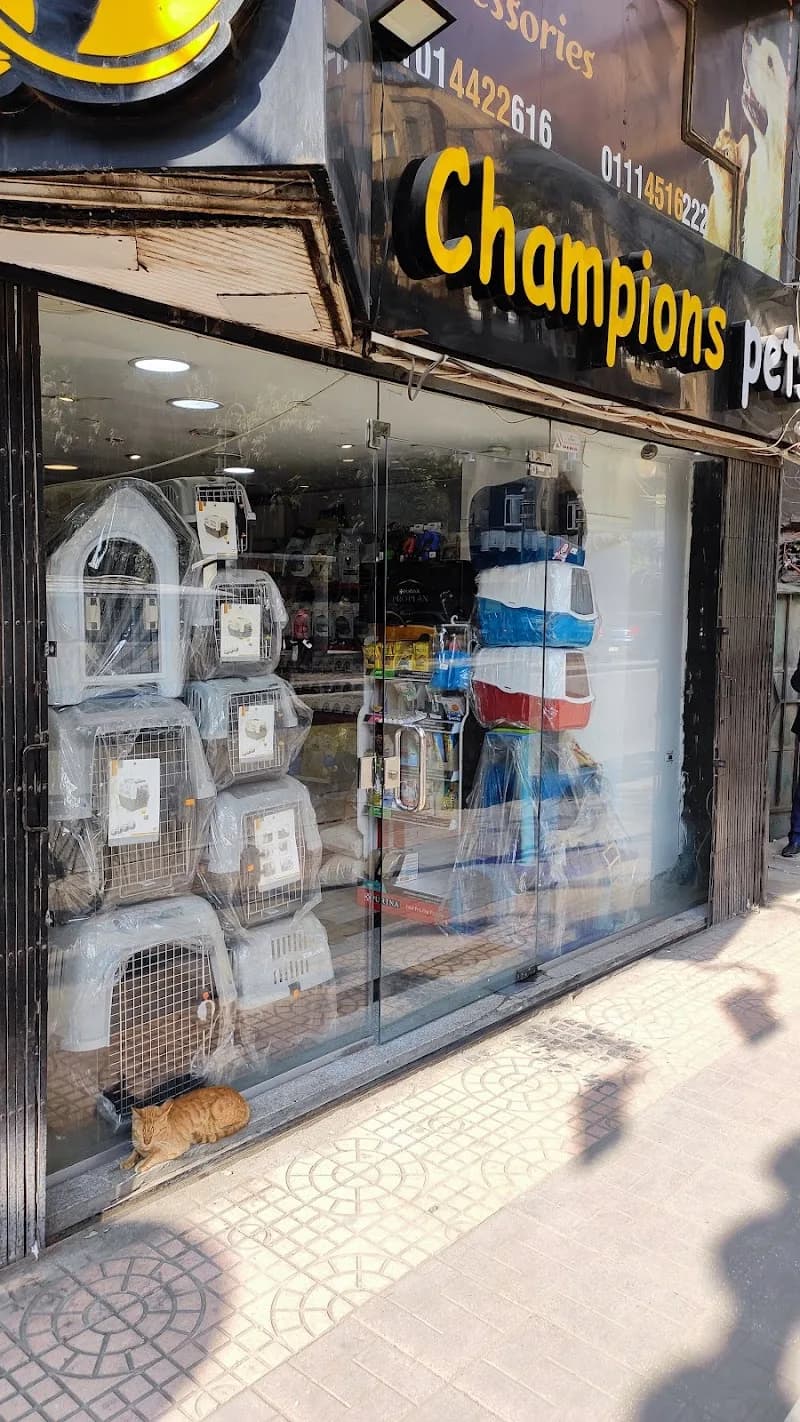 Champion's Pets