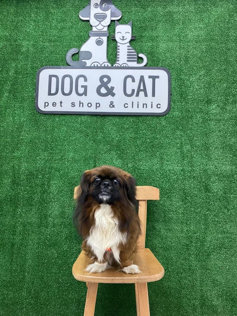 {Dog&Cat} Pet Clinic and Pet Supplies Collection
