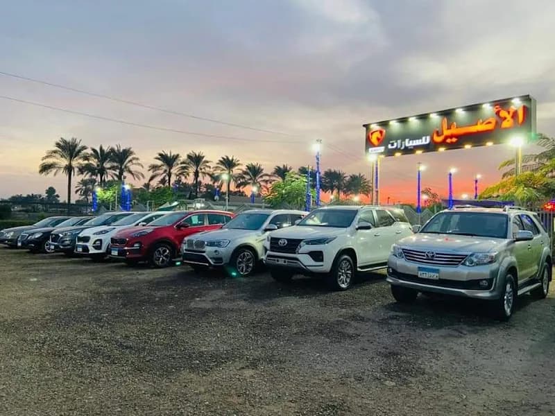 Al-Aseel Motors Showroom