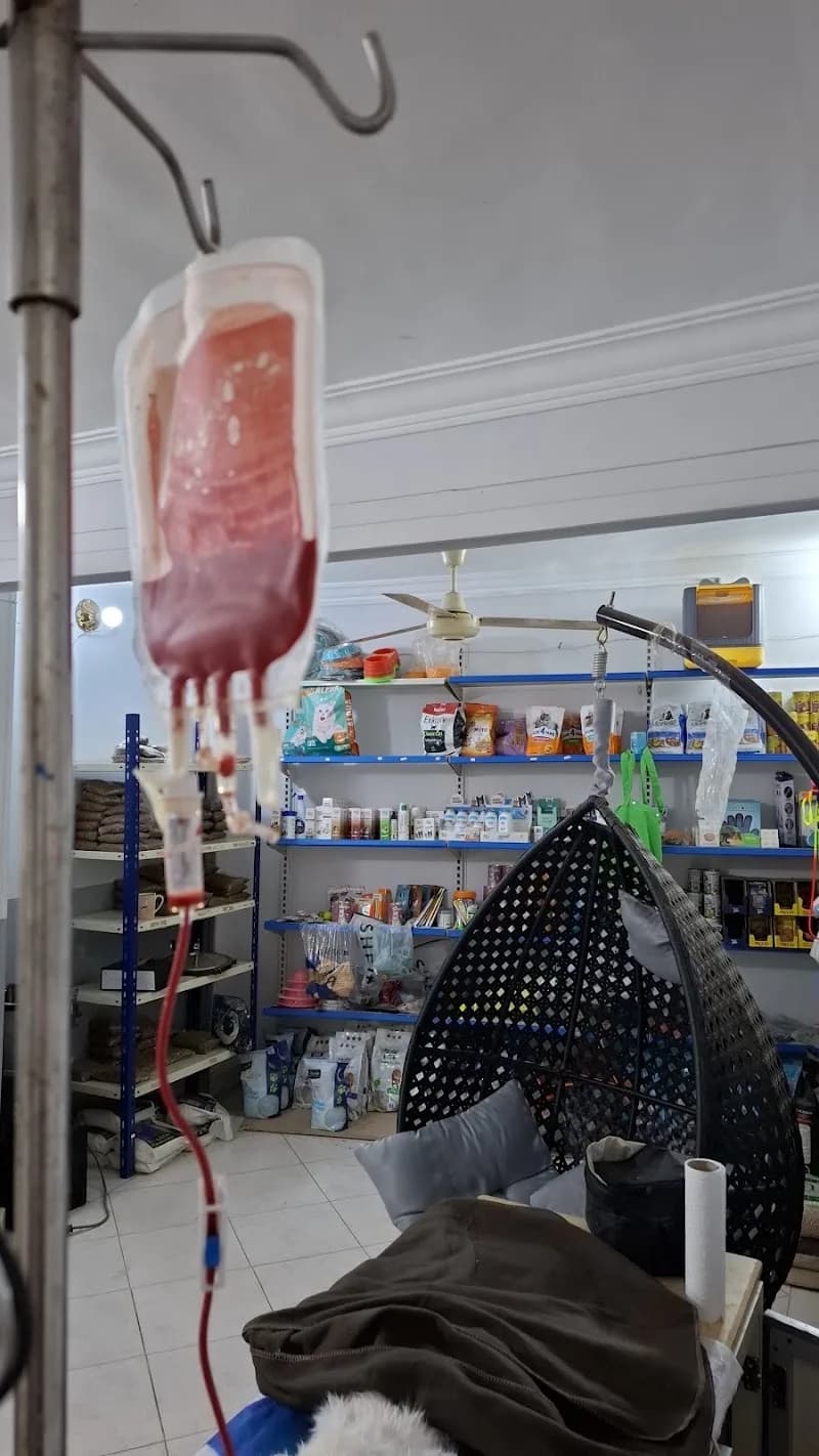 Petsy Zone Clinic Dr Islam Gamal