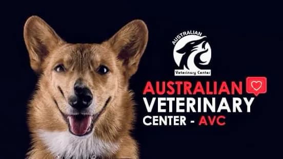 Australian Veterinary Center - AVC