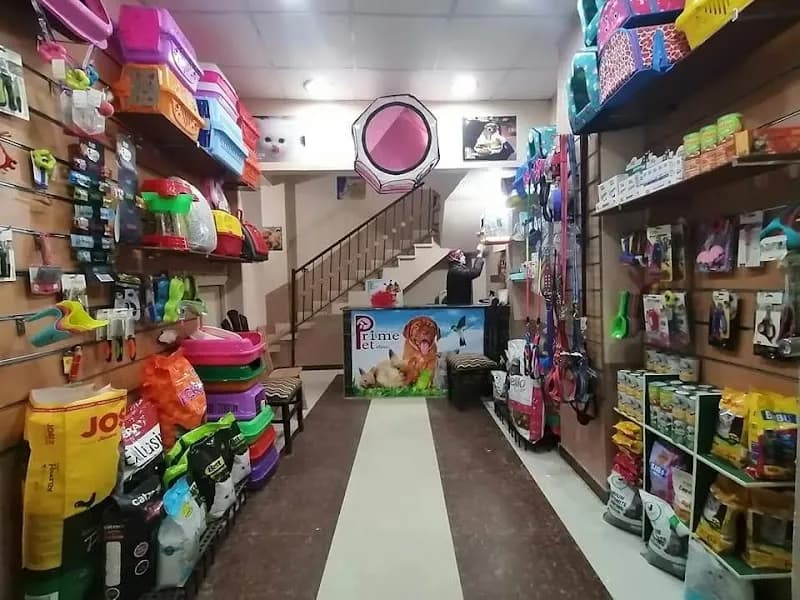 Prime Pet & Bird Treatment Center