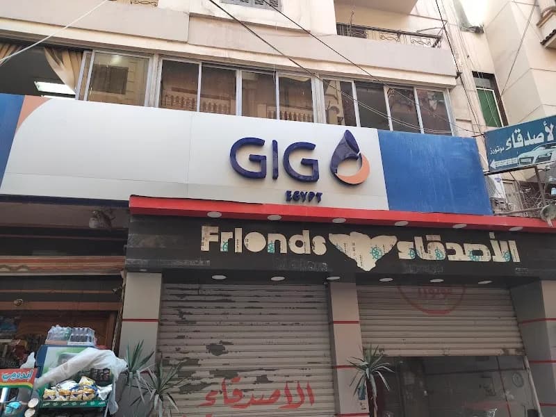 المجموعة العربية المصرية للتأمين - جى اى جى