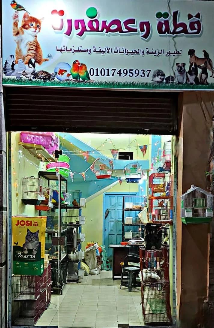 Cat and Bird Shop