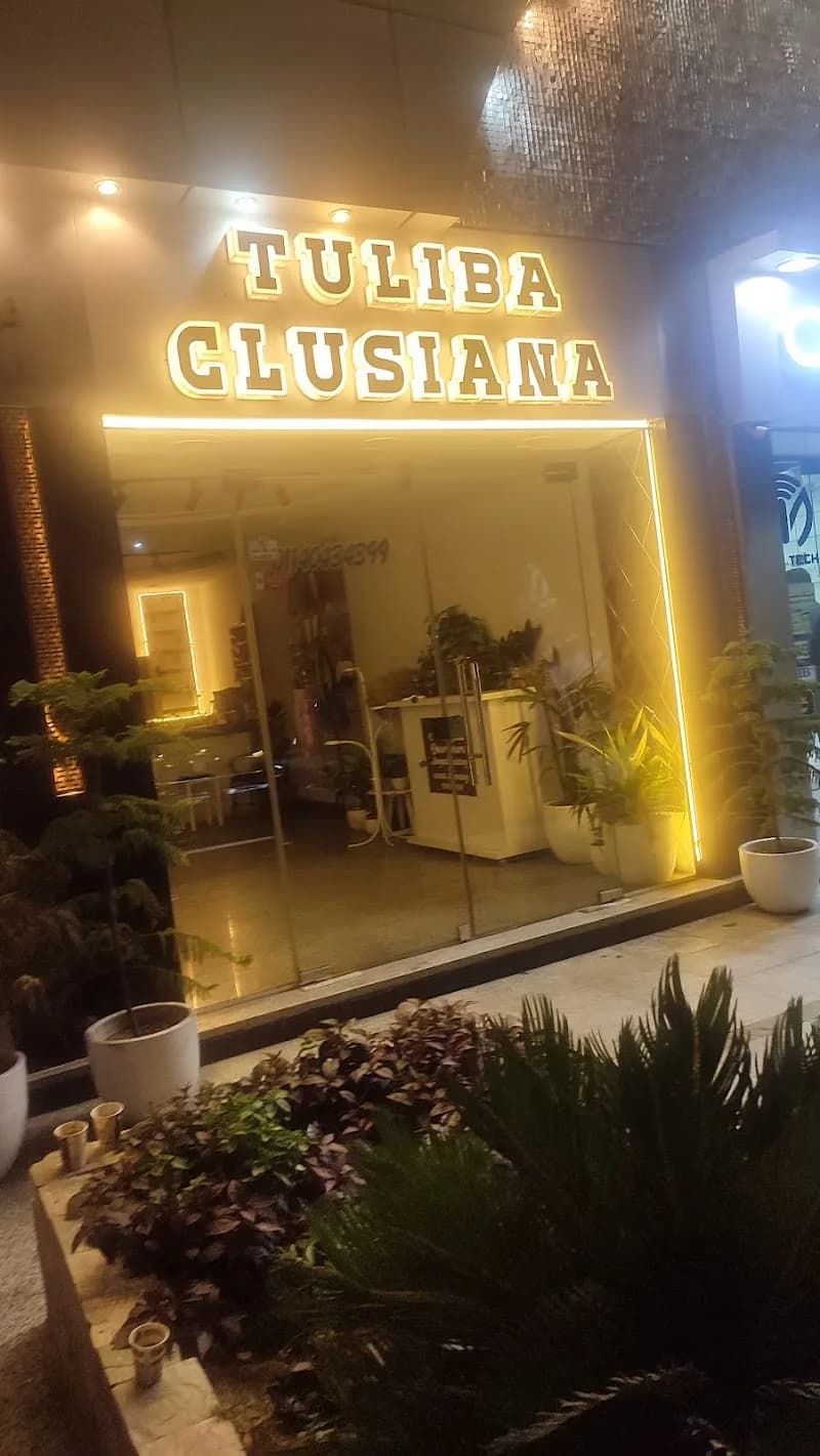 TULIBA CLUSIANA