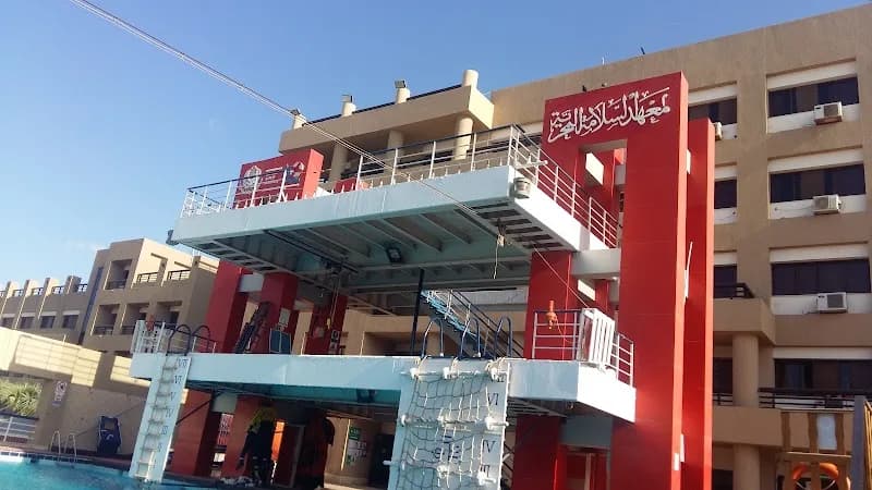 MSI/Arab Academy
