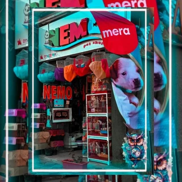 Pet shop nemo