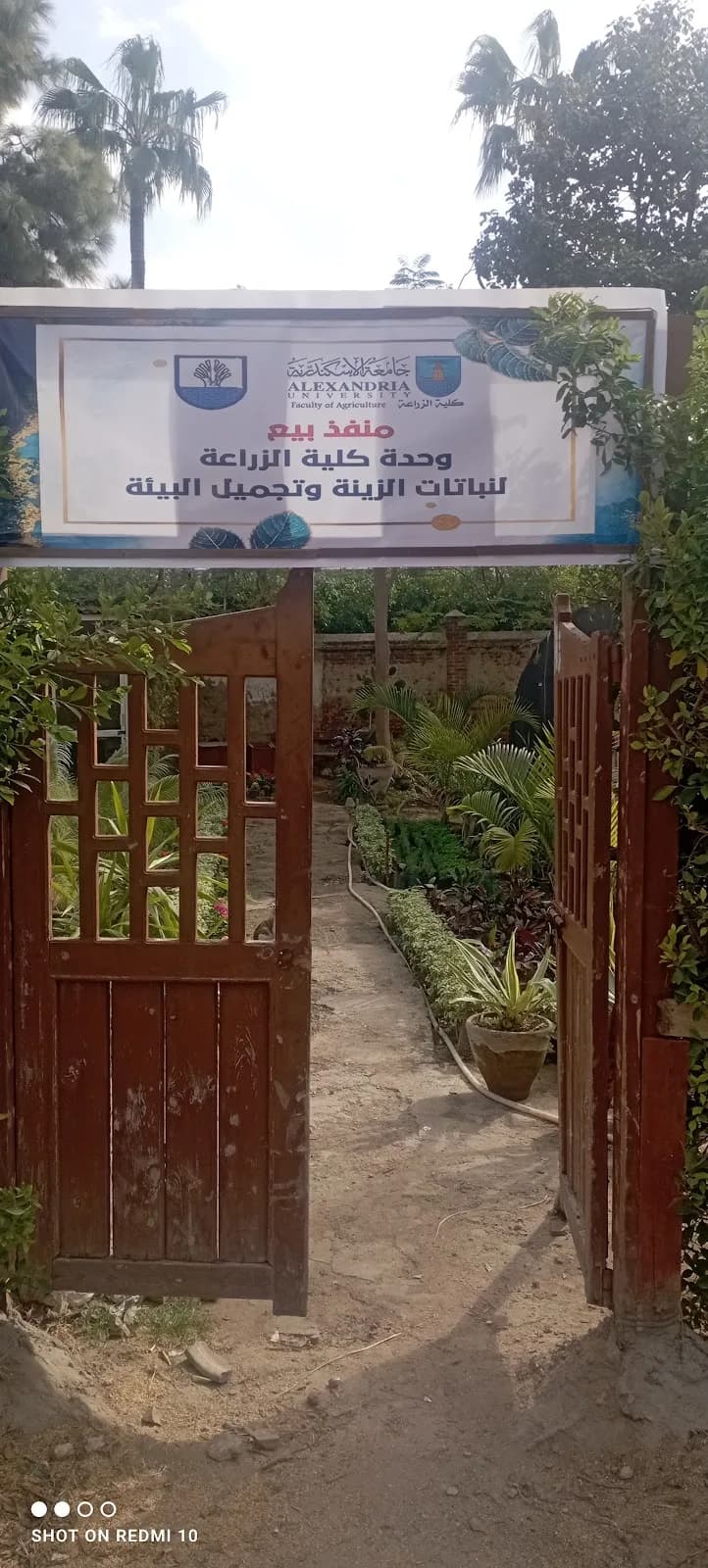 Faculty of Agriculture, Shatby - Ornamental Plants and Environmental Beautification Unit - Extension Nursery