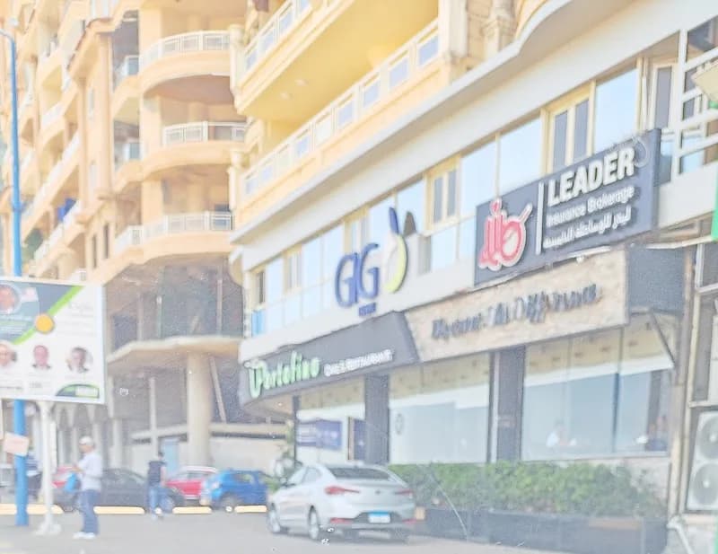 AMIG - Arab Misr Insurance Group