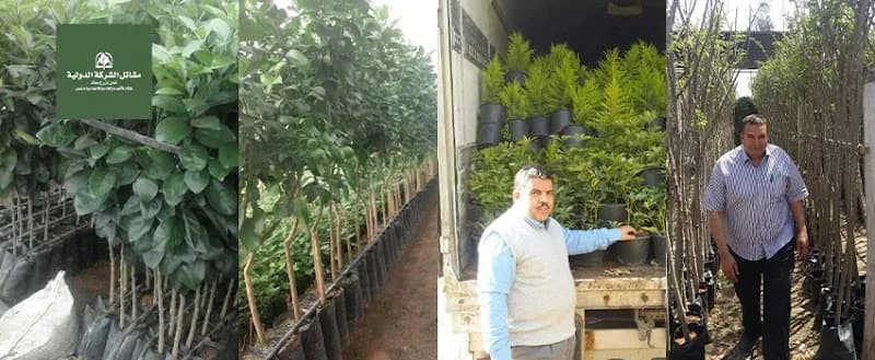 Mashatel ElDawlia Co.