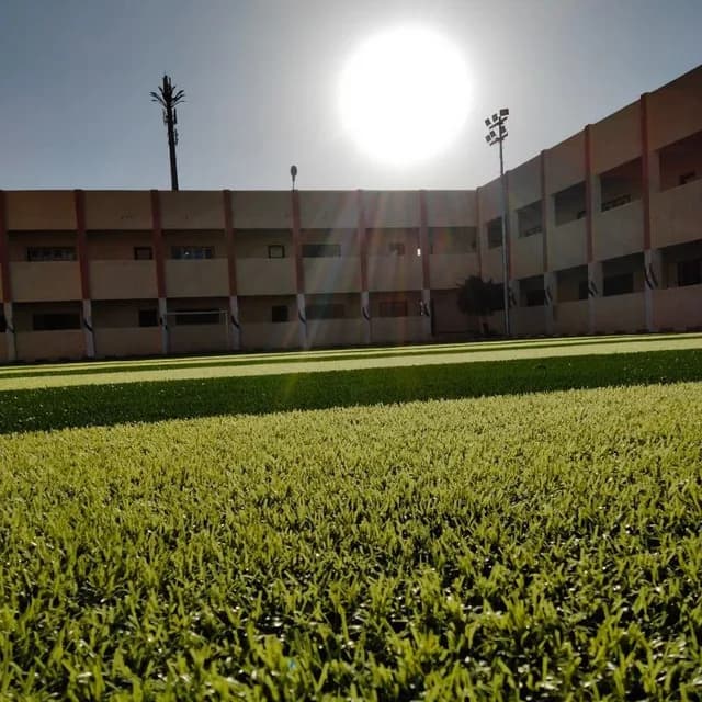 Alexandria Al-Azhar Institute