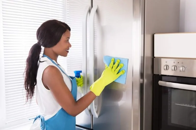 Maid agency, domestic worker agency, babysitters, nannies, and housekeepers by the month in Egypt - ALANDALUSIA MAIDS