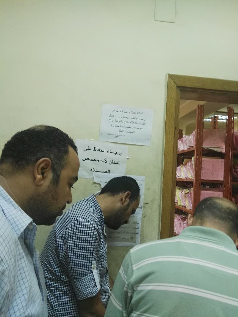 شركة مصر للتامين