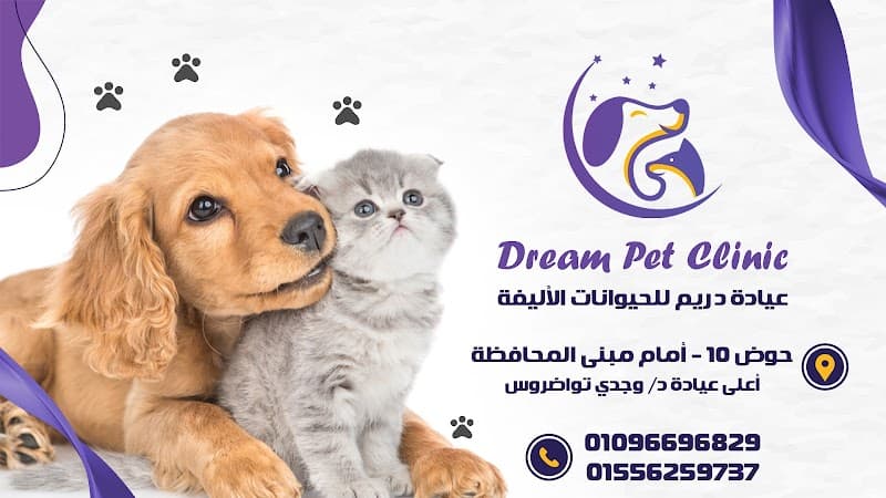 Dream Pet Clinic