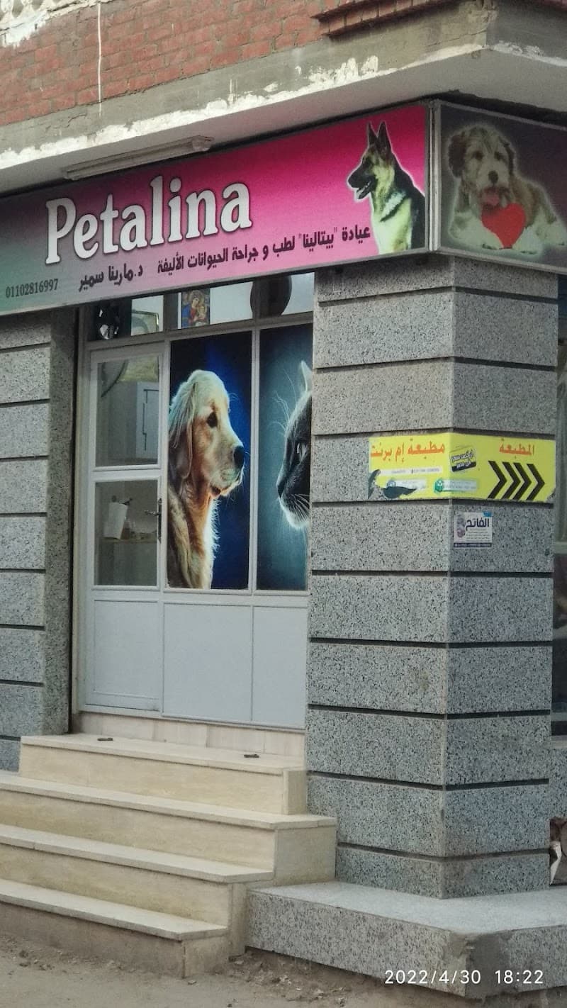 Petalina د . مارينا سمير
