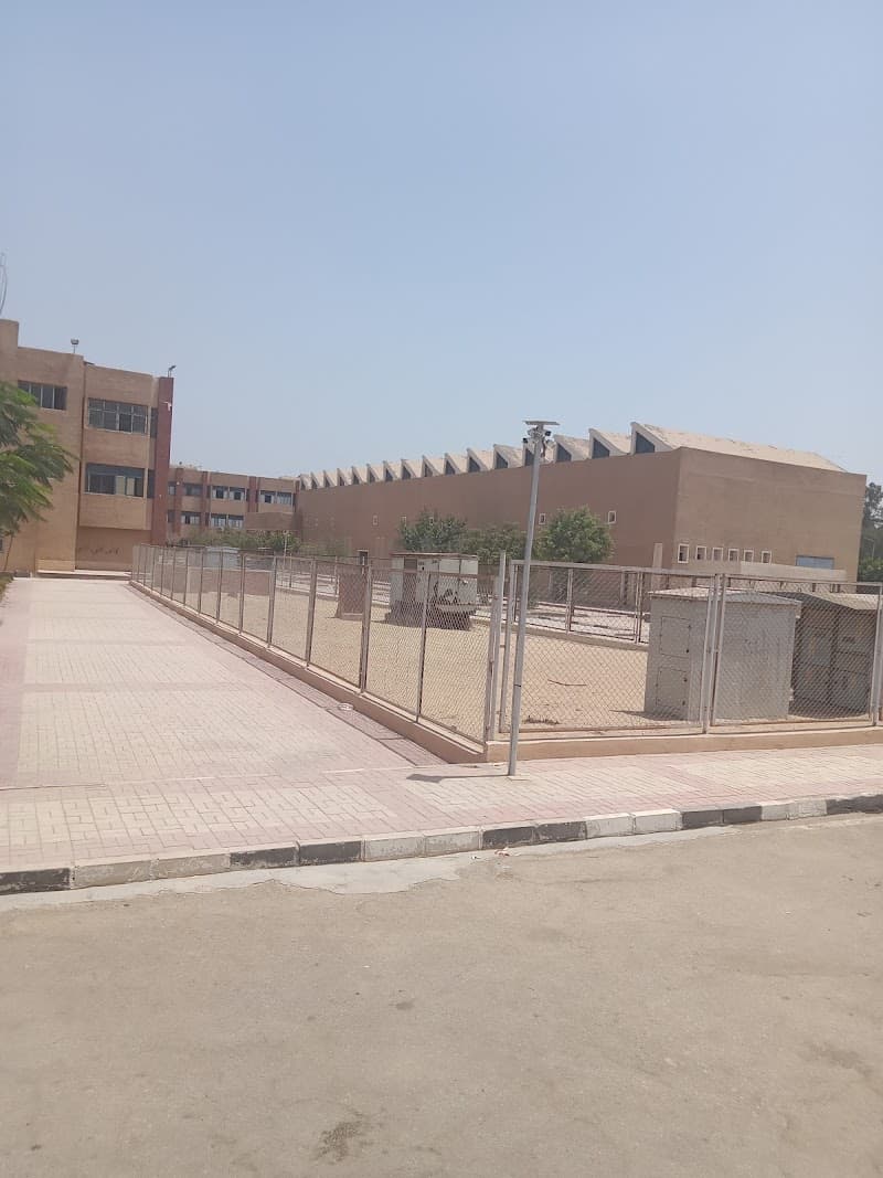 المعهد الفني الصناعي بقويسنا
