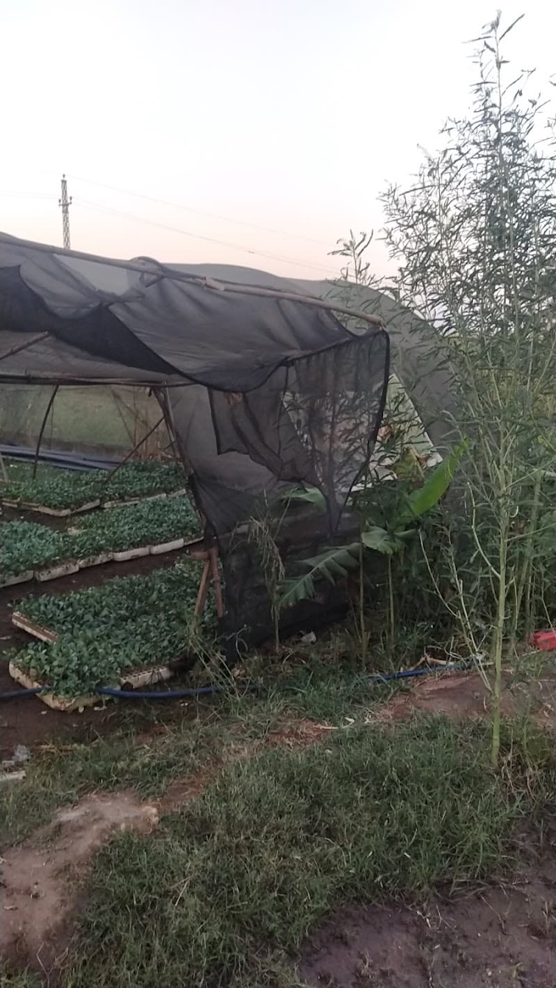 مشتل الاصدقاء لشتلات الخضر والفاكهة