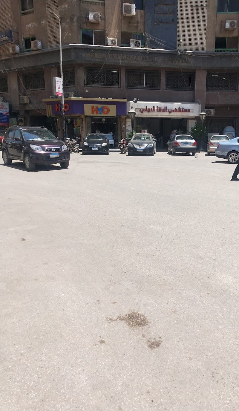 مستشفى الدلتا الدولى