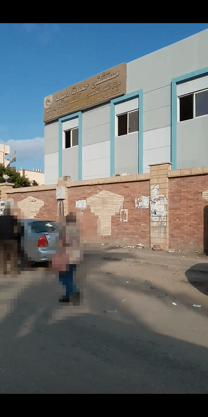 حميات دمياط