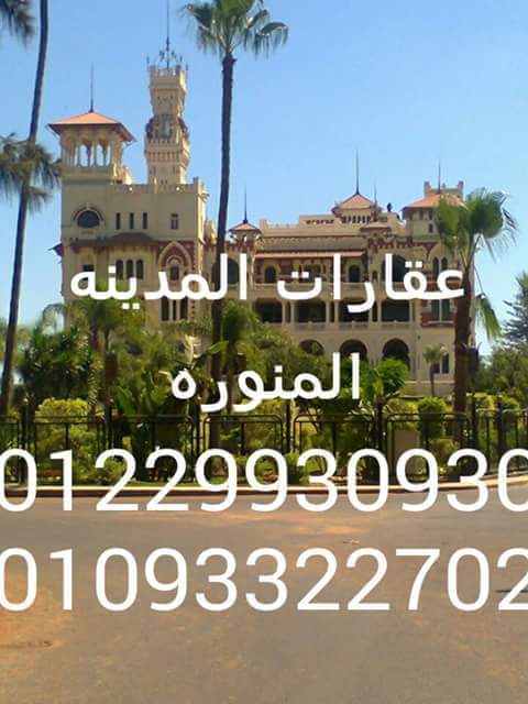 عقارات المدينة المنورة