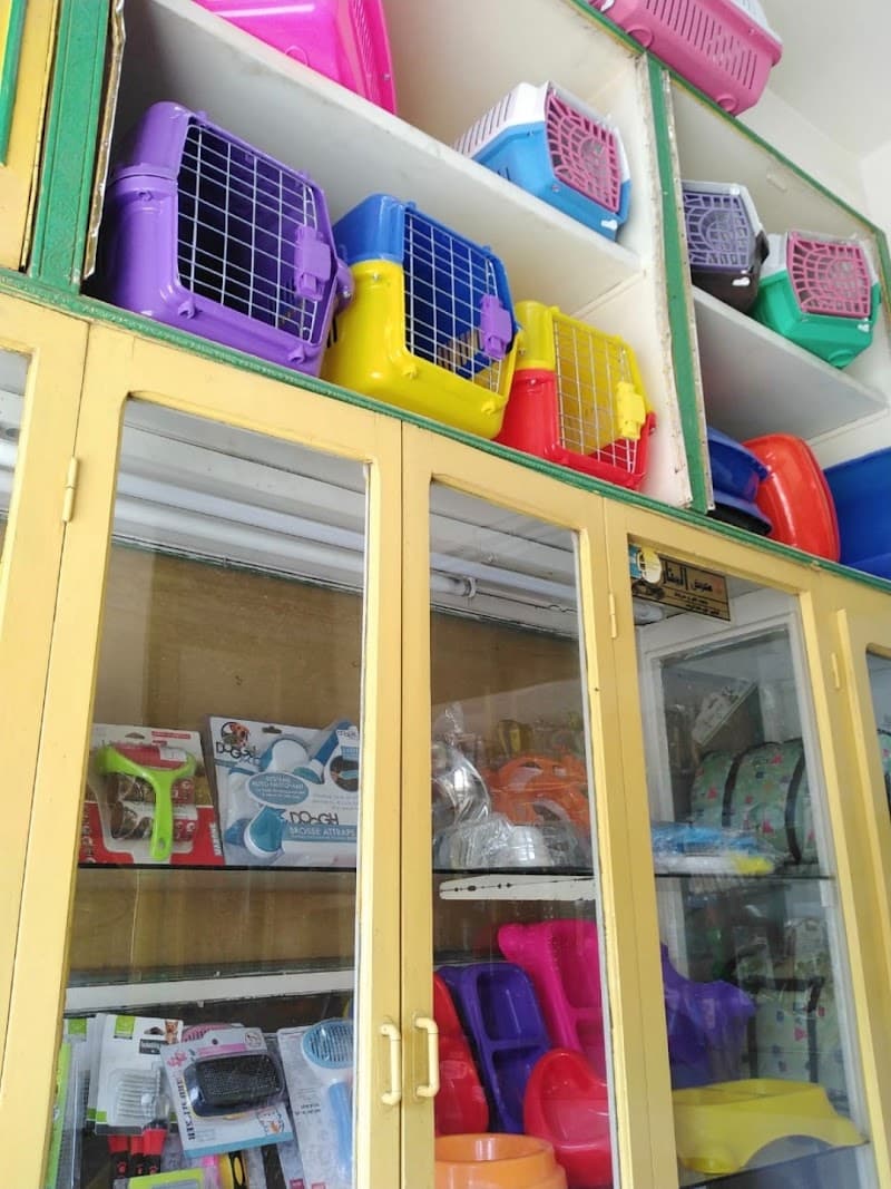 Pet Vet Clinic