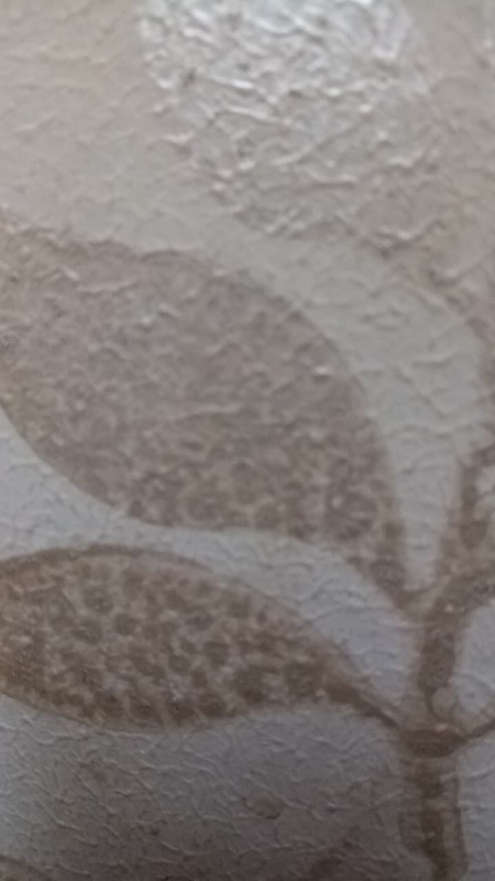 كازابلانكا Casablanca