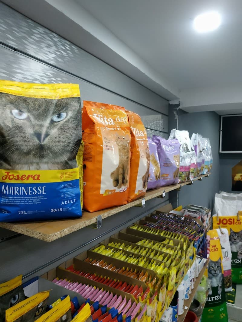 Meow pet shop
