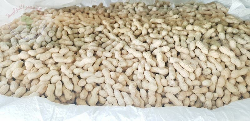 Egypt International Company for Manufacturing and Processing Agricultural Products