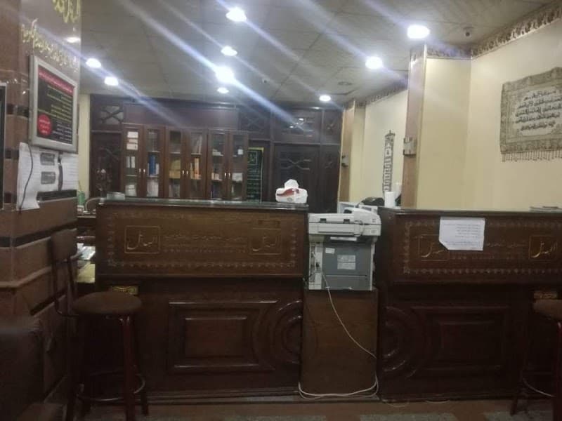 البديل للخدمات الحكومية