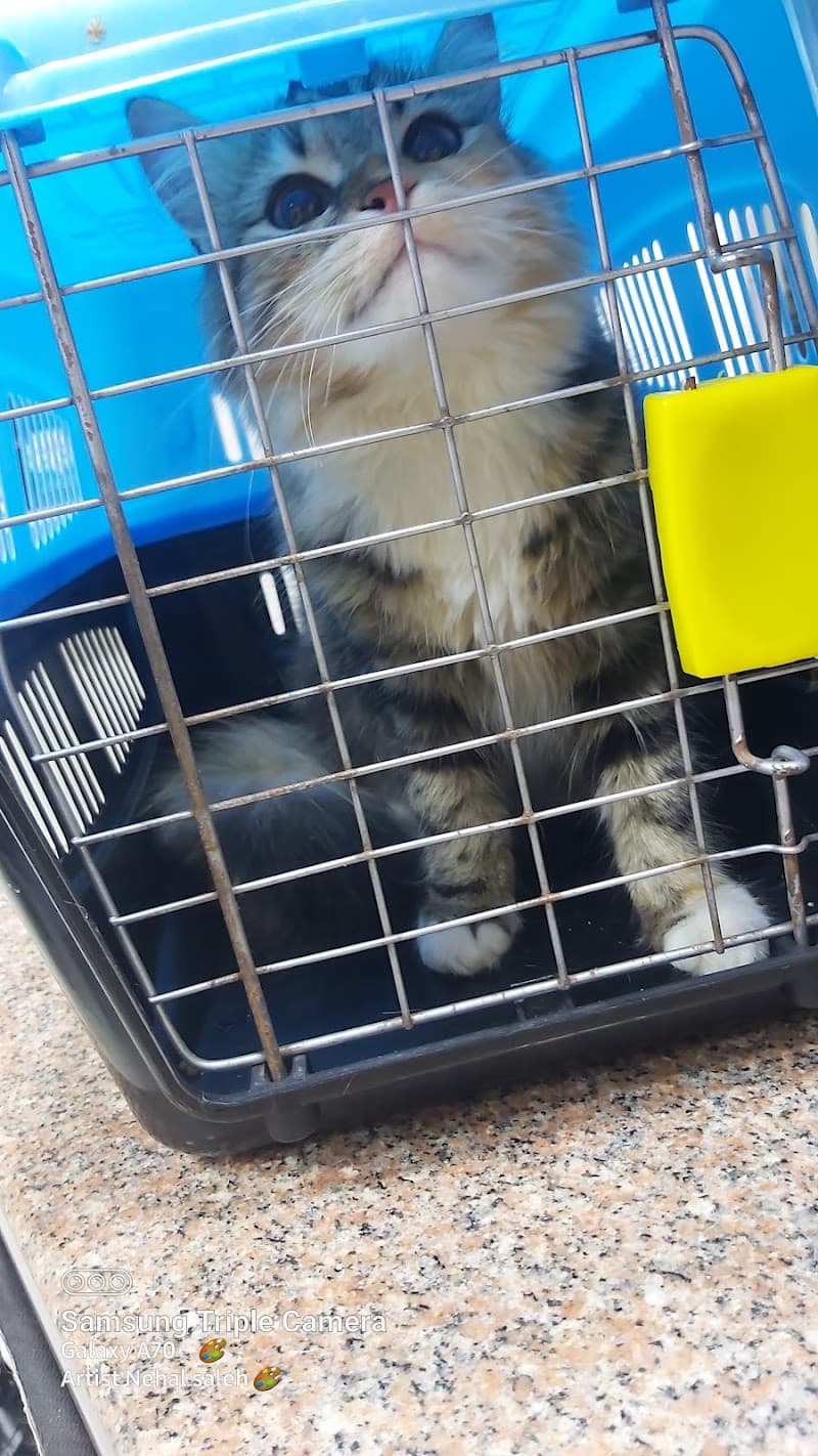 العياده البيطريه (Pet by vet)