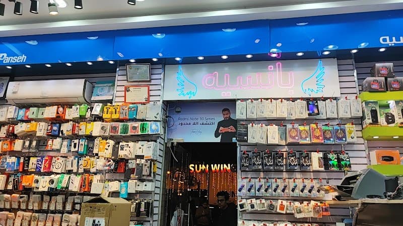 شركة بانسيه بورسعيد