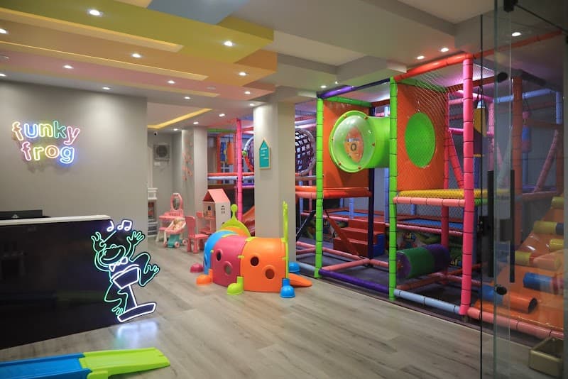 Funky Frog kids area