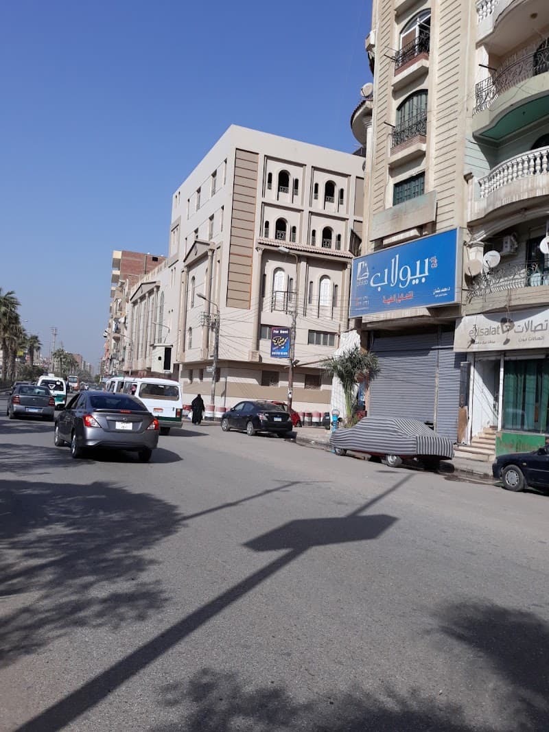 الشركة المصرية للاتصالات (we)