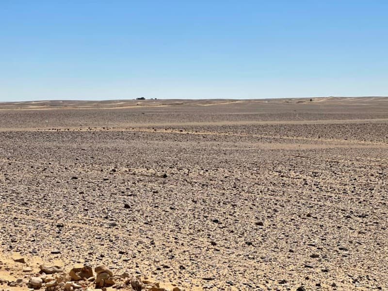 شركة حماد لاستصلاح الأراضي الزراعية وخدمات الطاقة الشمسية