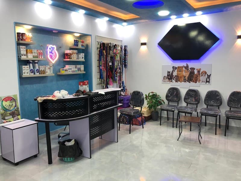 Domy Pet's Clinic