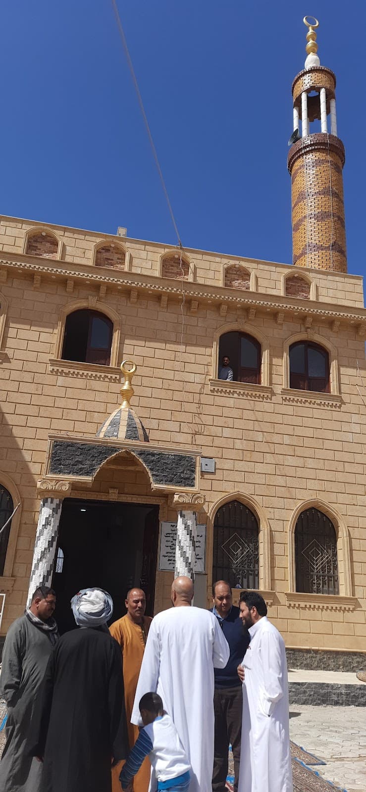 المصرية للمقاولات العامه