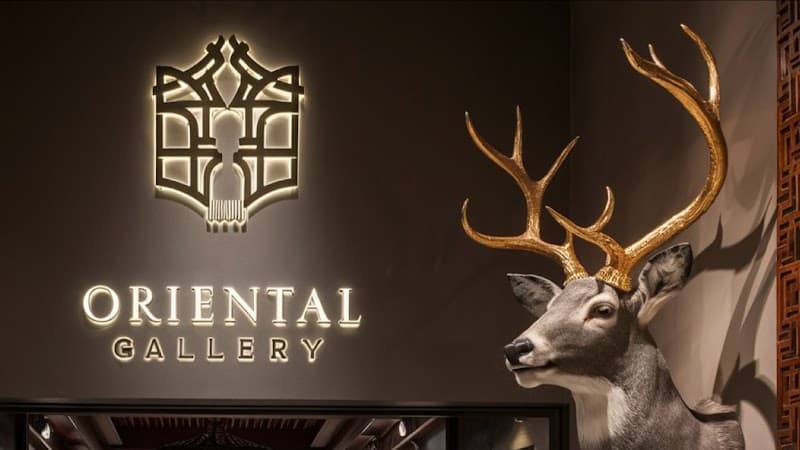 أورينتال - Oriental Gallery