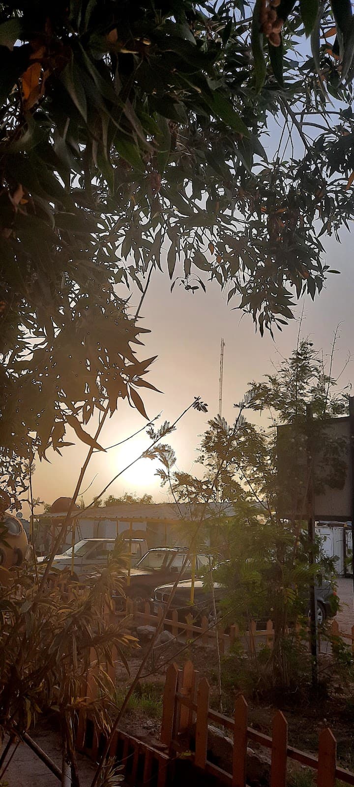 شركة ماريدايف