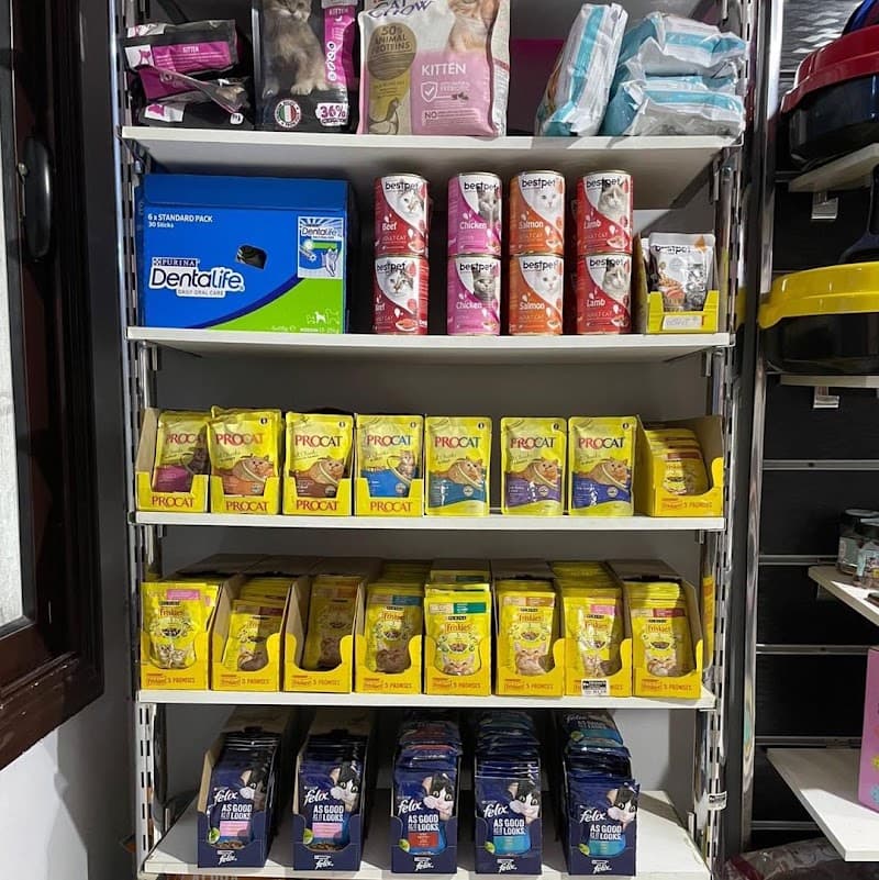 Mickey's Pets Store