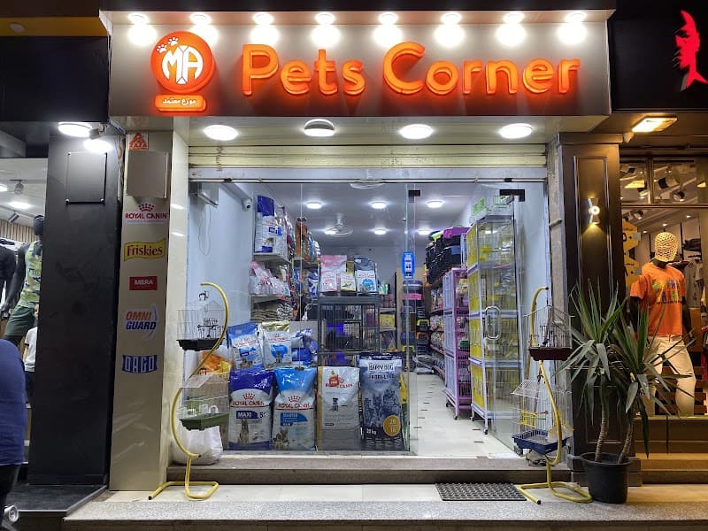 Pets Corner