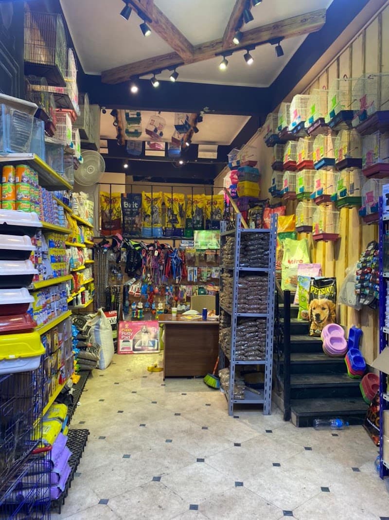 بابا دوجز Papa dogs