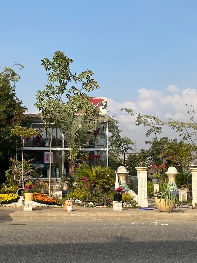 Tourist Nursery