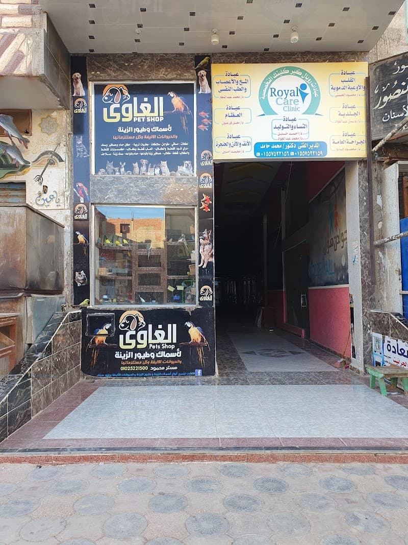 الغاوى للحيوانات الأليافة