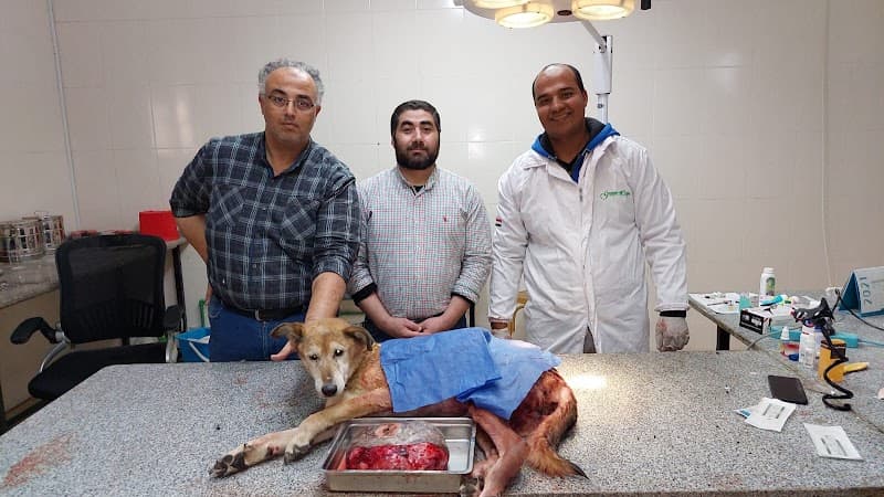 Veterinarian Dr. Emad Taj El-Din