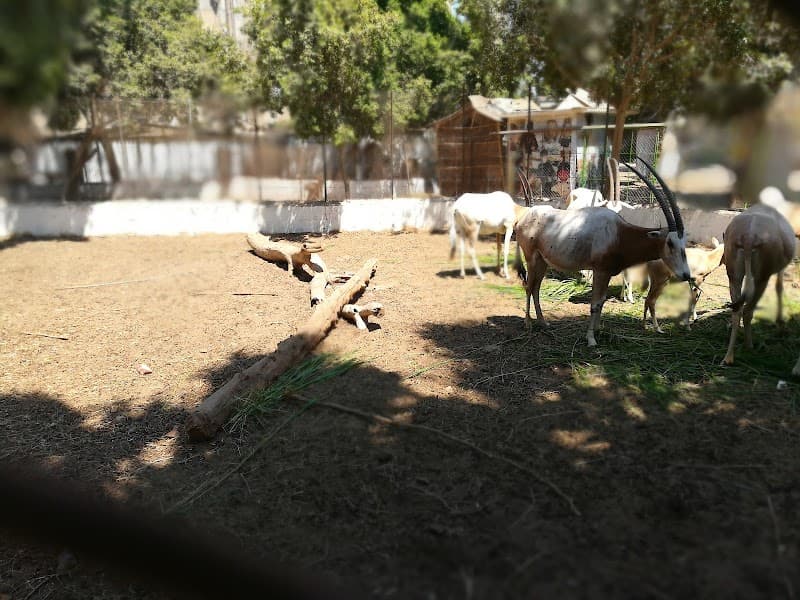 حديقة الحيوان بالفيوم
