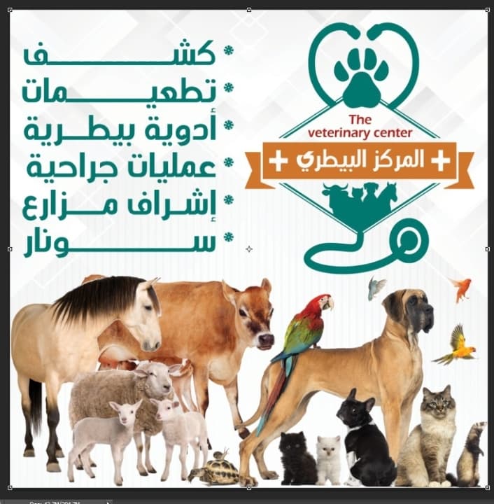 المركز البيطري لطب و رعاية الحيوان Veterinary Clinic