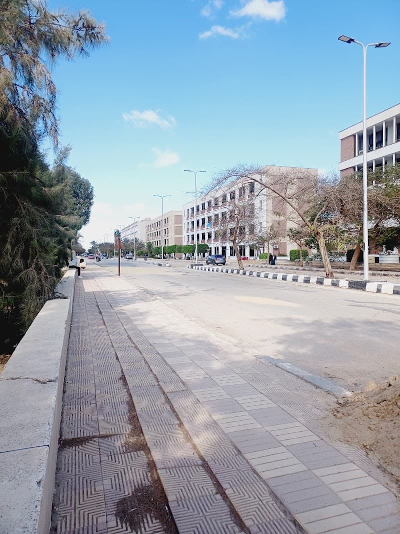 Computer Center, Minia University