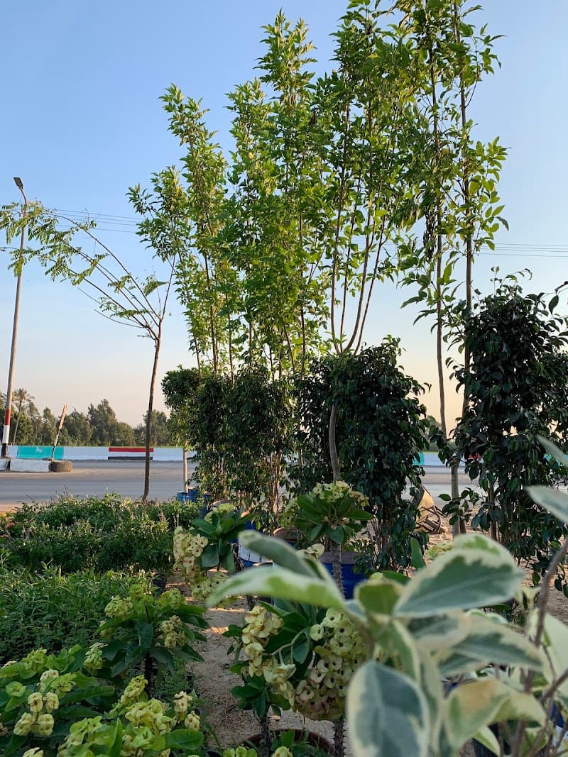Farm nursery for ornamental plants and fruit trees